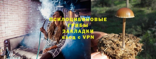 мяу мяу мука Аркадак