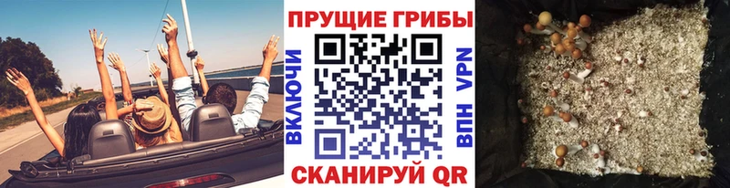 кракен   купить наркоту  Кубинка  Галлюциногенные грибы GOLDEN TEACHER 