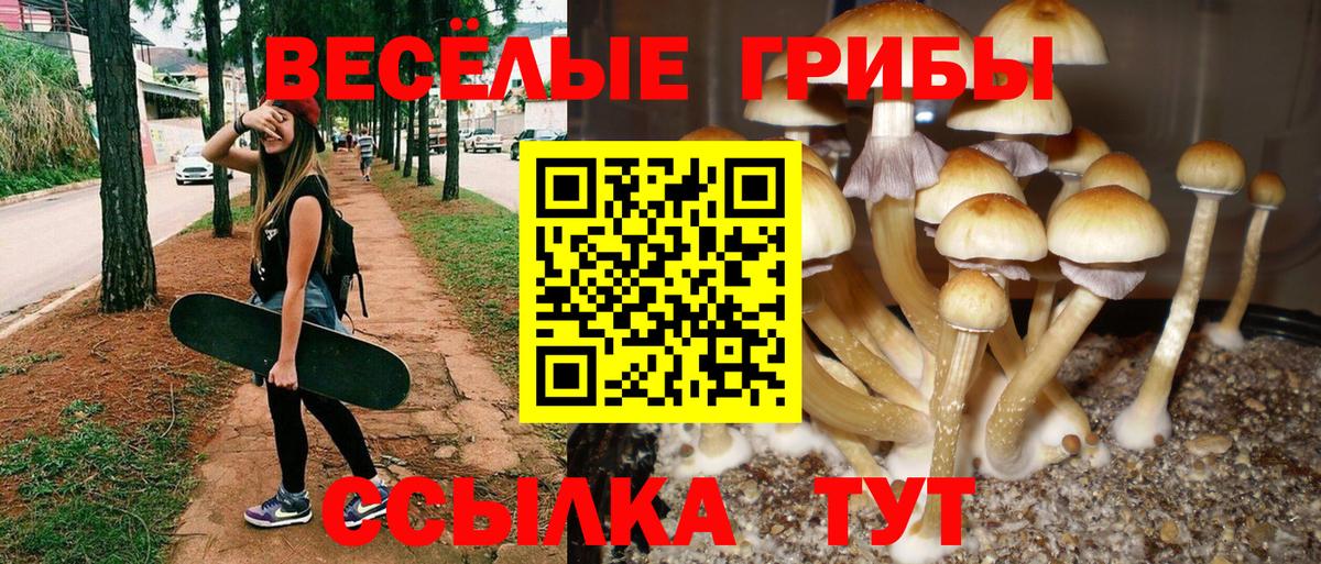 Галлюциногенные грибы MAGIC MUSHROOMS Кубинка