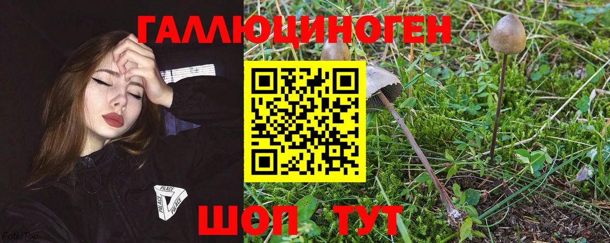 Псилоцибиновые грибы прущие грибы  Вход с VPN  Кубинка 
