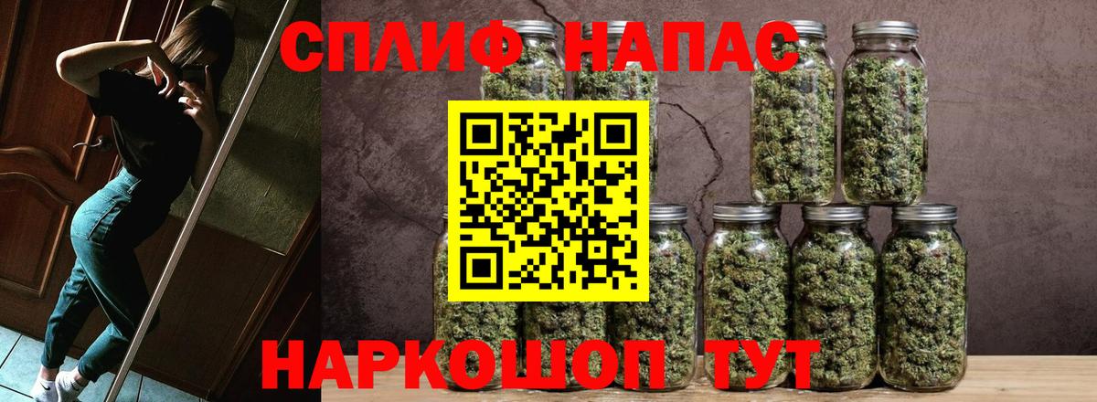 Канабис MAZAR Кубинка